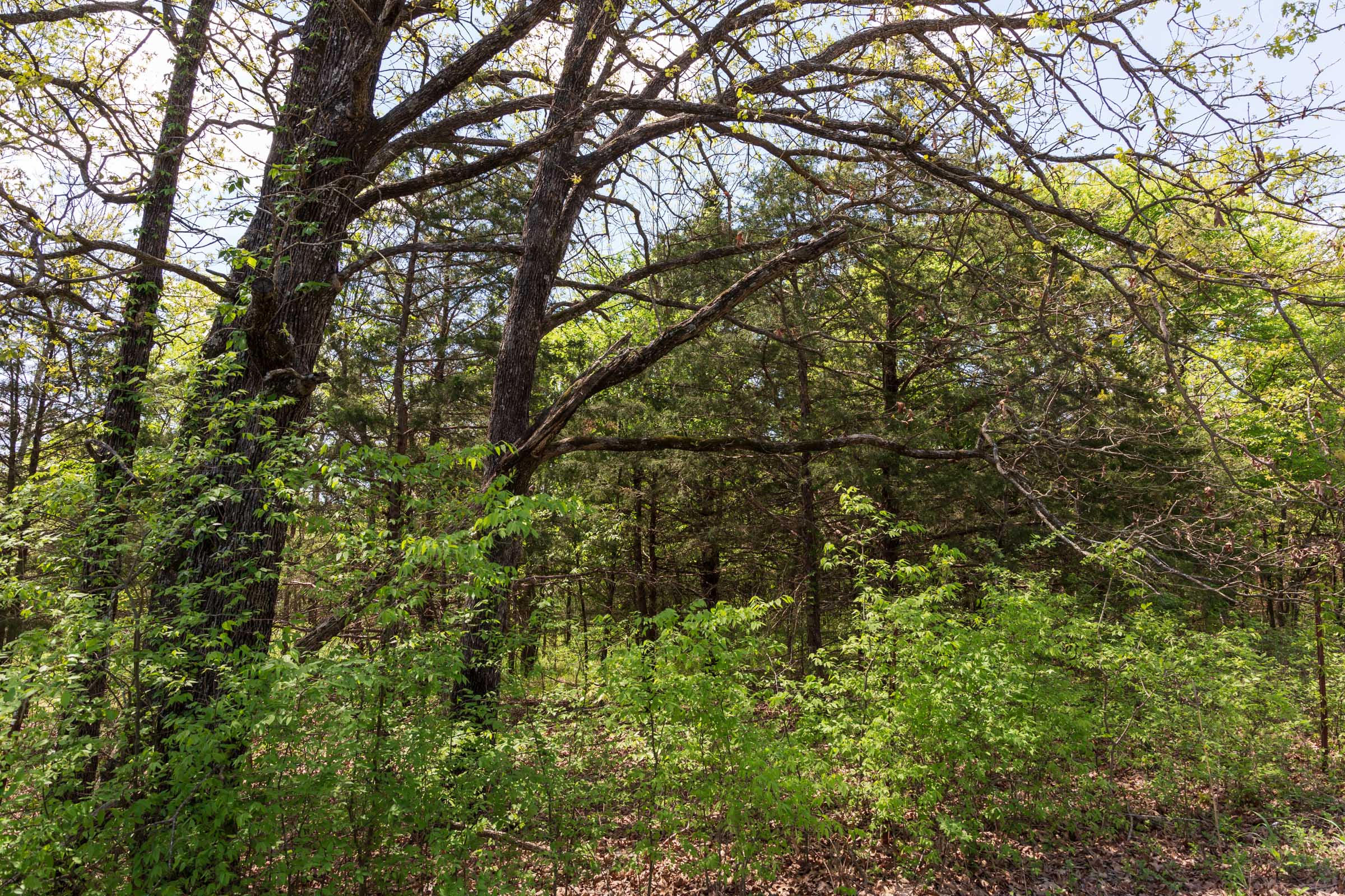 Tract 1 at Allies Acres in Pittsburg County, Oklahoma
