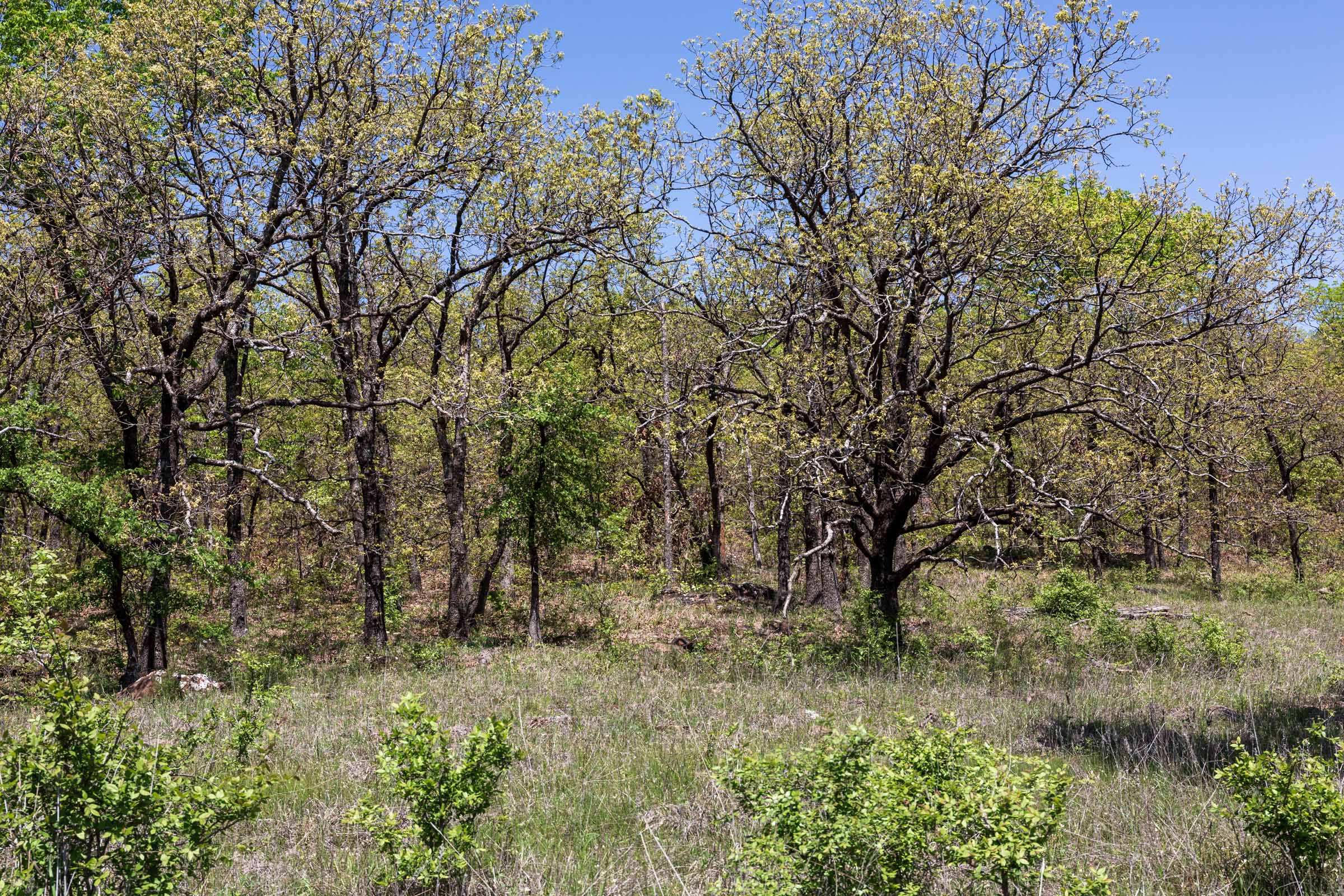 Tract 2 at Allies Acres in Pittsburg County, Oklahoma
