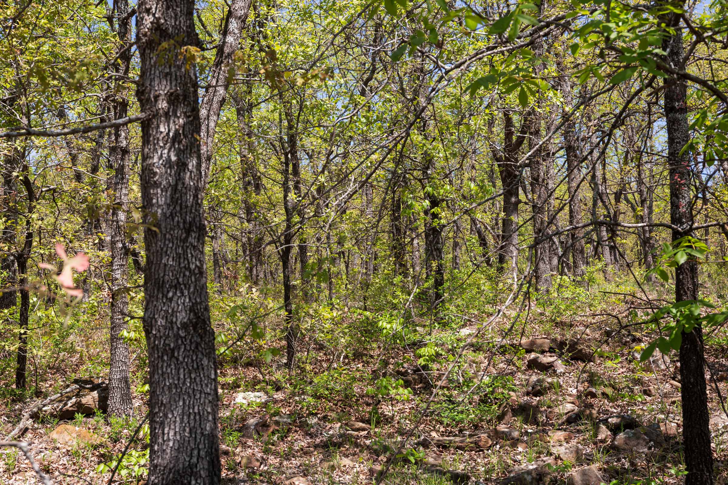 Tract 3 at Allies Acres in Pittsburg County, Oklahoma