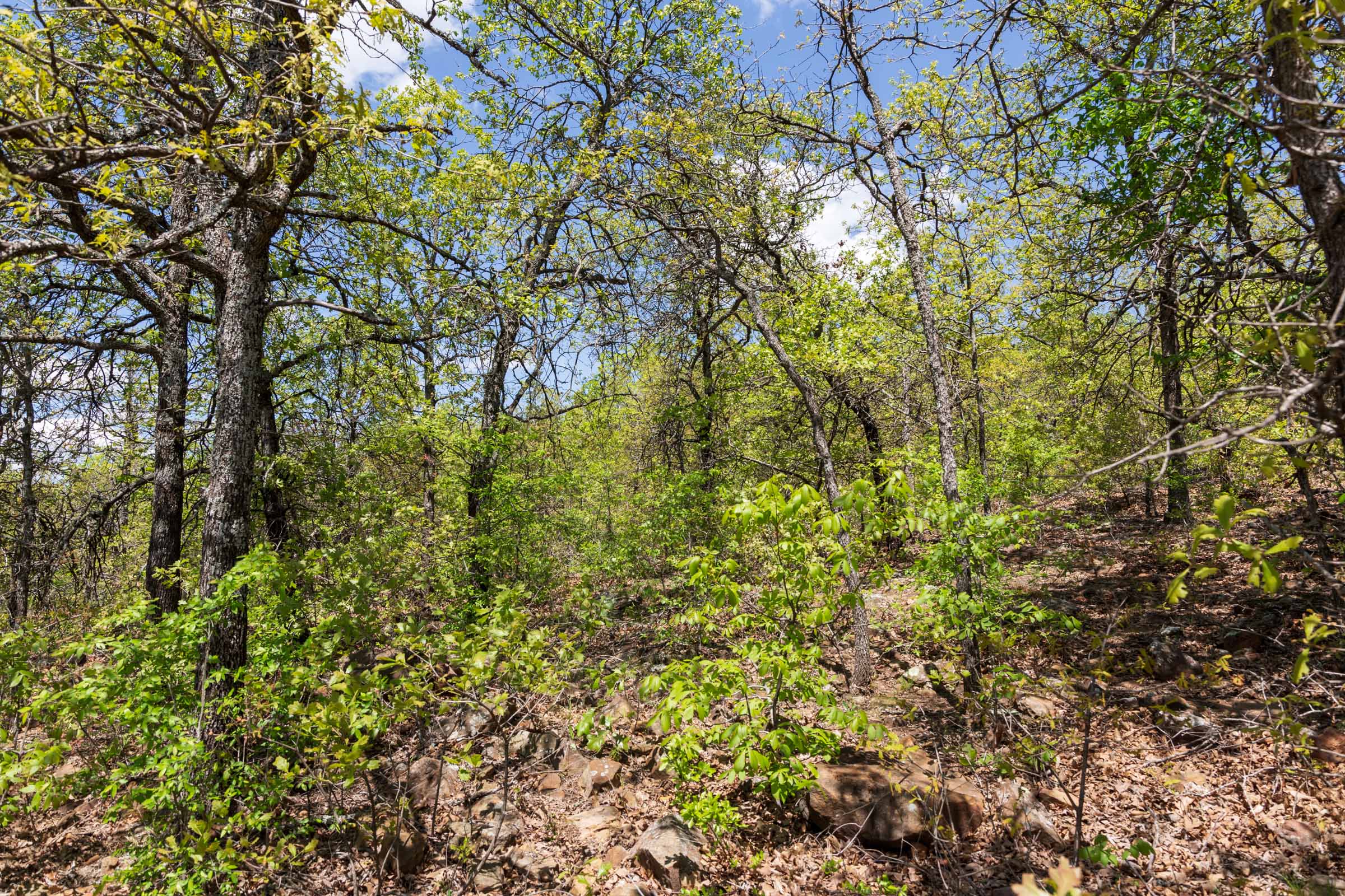 Tract 5 at Allies Acres in Pittsburg County, Oklahoma